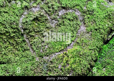 Herz auf Stein und Moss Stockfoto