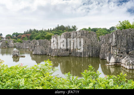 Yunnan Steinwald scenic Stockfoto