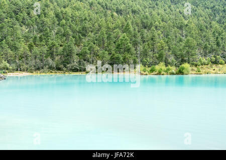 Blue Lake und grünen Wald Stockfoto