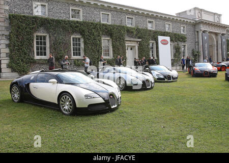 Goodwood, UK. 30. Juni 2017. Gruppe von Bugatti Veyrons beim Goodwood Festival of Speed Credit: Malcolm Greig/Alamy Live-Nachrichten Stockfoto