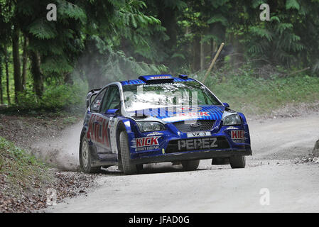 Goodwood, UK. 30. Juni 2017. Ford Focus WRC befasst sich die Forrest Rallye Bühne Credit: Malcolm Greig/Alamy Live News Stockfoto