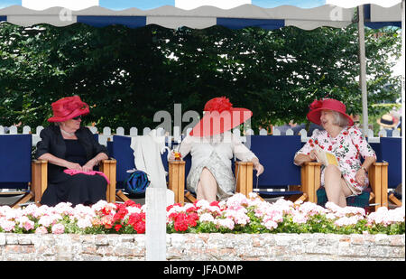 Henley Royal Regatta, Henley on Thames, Oxon, UK. 30. Juni 2017. Hüte waren zu sehen für einen anderen trockenen sonnigen Tag bei Henley Regatta. UK-Wetter. Bildnachweis: Allan Staley/Alamy Live-Nachrichten Stockfoto