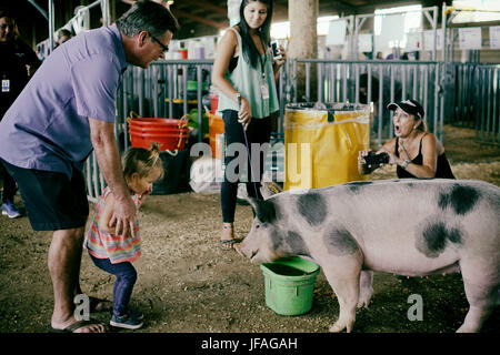 San Diego, CA, USA. 30. Juni 2017. eine Familie interagiert mit einem Schwein eine Scheune in SanDiego Kirmes auf Donnerstag, 29. Juni 2017 in San Diego, CA. Credit: Sandy Huffaker/ZUMA Draht/Alamy Live News Stockfoto