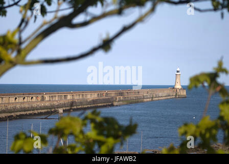 Mole und Leuchtturm, Tynemouth Stockfoto