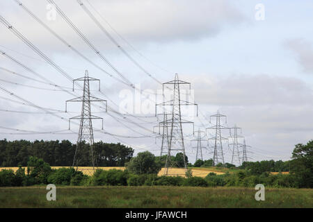 Pylone tragen elektrische Hochspannungskabel von Kernkraftwerk Sizewell über Landschaft, Wickham Markt, Suffolk, England, UK Stockfoto