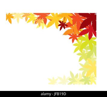 Herbstblätter Ahorn mit verschiedenen Schattierungen der Farben Stockfoto