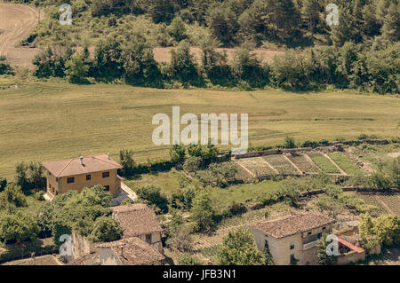 Luftaufnahme des Feldes gepflanzt mit Müsli und einem Obstgarten in der Mitte im Dorf des Frias, Provinz Burgos, Castilla y León, Spanien, Europa. Stockfoto