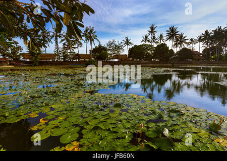 Teich in Candidasa - Bali Indonesien Stockfoto