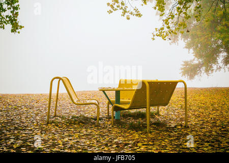 Landschaft mit gelbem Laub und Bänke Stockfoto