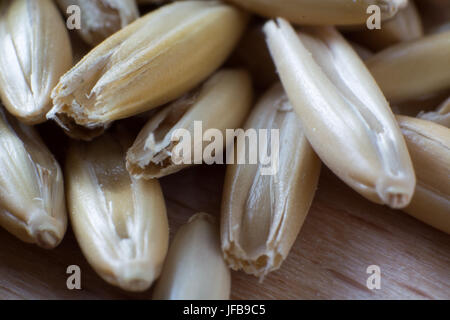 Super Makro Aufnahme von Hafer Korn Stockfoto