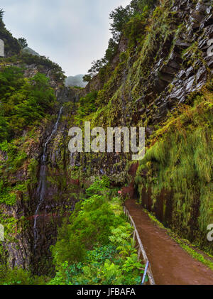 Risco levada auf Madeira Portugal Stockfoto