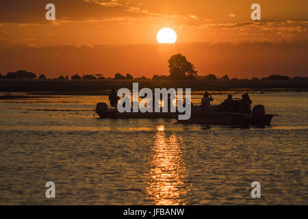 Safari Boot bei Sonnenuntergang auf Chobe Stockfoto