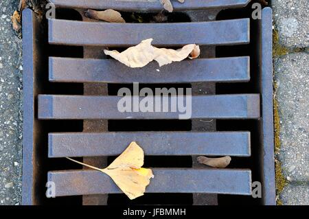 Herbst in der Straße Entwässerung Stockfoto