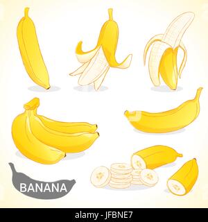 Fruit201508 Set Banane in verschiedenen Stilen-Vektor-format Stock Vektor