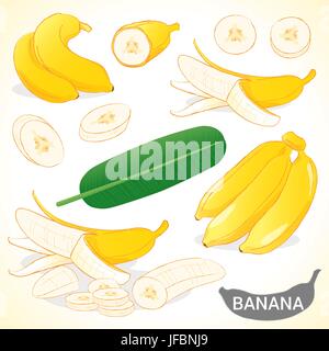 Satz von Bananen in verschiedenen Stilen-Vektor-format Stock Vektor