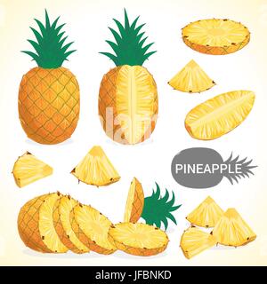 Satz von Ananas in verschiedenen Stilen-Vektor-format Stock Vektor