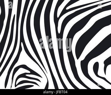 Zebrafell strukturierten Hintergrund Stock Vektor