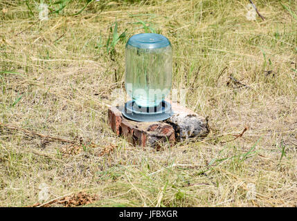 Trinknapf für Bienen. Trinkschale aus einem drei-Liter-Glas und Teller. Bewässerung für Insekten. Honigbienen auf der Startseite Imkerei. Die Technologie-bre Stockfoto