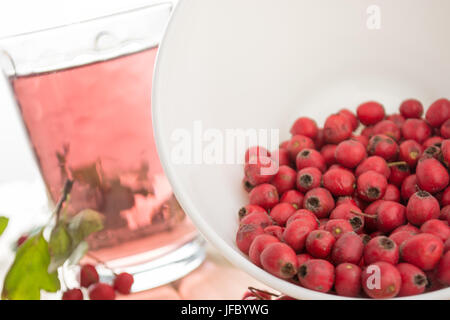 Getränk aus getrockneten Weißdorn-Beeren Stockfoto