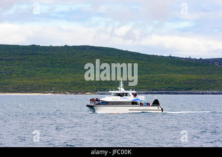 Touristen auf eine Whale-watching Boot in Flinders Bucht im Winter, vor der Küste von Augusta, Western Australia Stockfoto