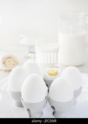 Stillleben-Frühstück, Morgen, proteinhaltige Produkte: Milch, Quark, Sauerrahm, Sahne, Käse, Joghurt, Eiern, Milch Shooting in frühen Morgenstunden am w Stockfoto