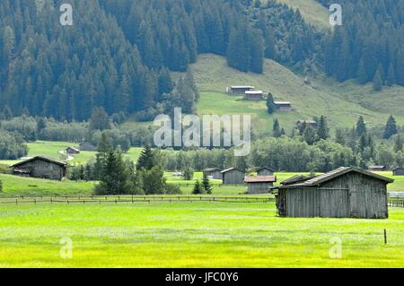 Idylle im Valsertal Tirol Österreich Stockfoto