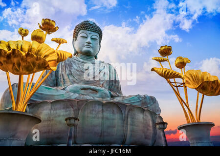 Hyogo Daibutsu - den großen Buddha im Nofukuji Tempel in Kobe, Japan Stockfoto