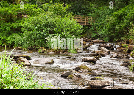 Watersmeet, in der Nähe von Lynmouth, North Devon, England, UK - dem Zusammenfluss von East Lyn und die Hoar Eiche Flüsse. Stockfoto