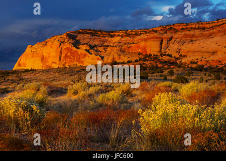 Utah-Landschaften Stockfoto