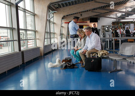 Kleiner Hund, Reisen mit seinen Besitzern am Flughafen Tegel - Berlin Stockfoto