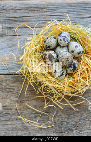 Bunte Wachtel Eier im Nest. Stockfoto