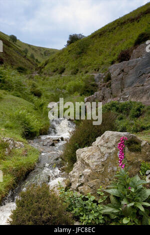 Leichte Auslauf hohl, Kardieren Mill Valley, Long Mynd, Shropshire, England: in dem National Trust Shropshire Hills Area of Outstanding Natural Beauty Stockfoto