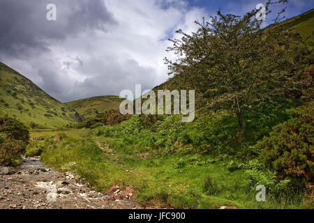 Kardieren, Mill Valley und Kalb Ridge, Long Mynd, Shropshire, England: Bestandteil des National Trust Shropshire Hügel Area of Outstanding Natural Beauty Stockfoto