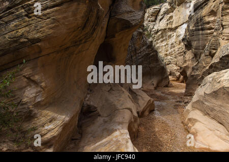 Willis Creek Slot Canyon 33 Stockfoto