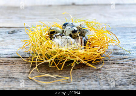 Mit bunten Wachteleier Nest. Stockfoto