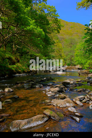 Fluss Lyn Lynmouth Devon Fuß zum Watersmeet im Sommer Stockfoto