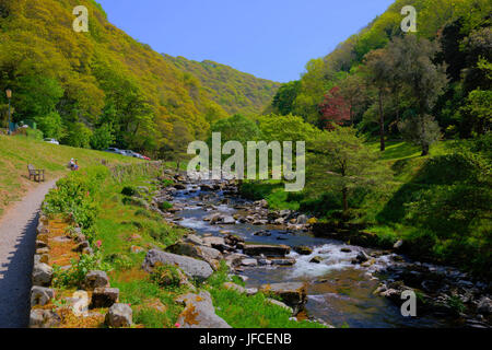 Lynmouth Devon Fuß zum Watersmeet entlang des Flusses Lyn im Sommer Stockfoto