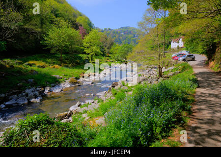 Lynmouth Devon Fuß zum Watersmeet entlang des Flusses Lyn im Sommer Blick in Richtung der Stadt Stockfoto