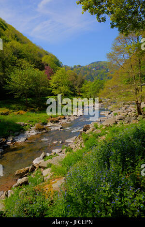 Lynmouth Devon Fuß zum Watersmeet entlang des Flusses Lyn im Sommer Stockfoto