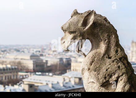 Nahaufnahme einer Chimäre Steinskulptur an der Oberseite der Cathedrale Notre-Dame. Historische Statue und wunderschönem Blick auf die Hauptstadt von Frankreich. Stockfoto