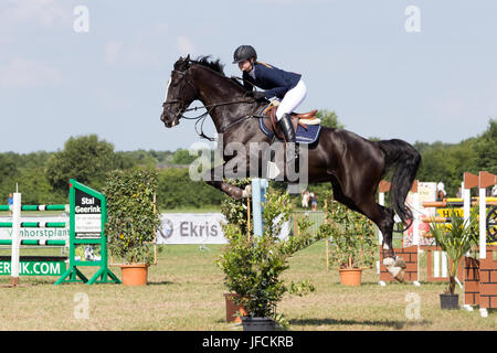 ZEVENAAR, Niederlande - 4 AUG: Unidentified Jockey auf Pferd springen während des jährlichen Hippique Woche-Wettbewerbs am 4. August 2013 in Zevenaar, die niederl Stockfoto