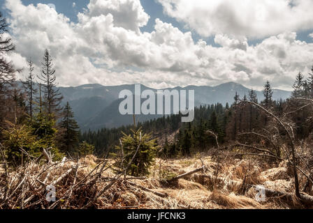 Panorama der Alpenhauptkamm Velka Fatra Gebirge in der Slowakei aus jarabina Hill im Frühling Tag mit blauem Himmel und Wolken Stockfoto