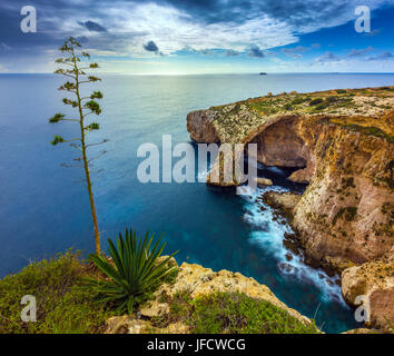 Malta - die schönen Bogen von der blauen Grotte mit Baum Stockfoto