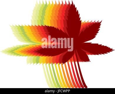 Herbstliche Ahornblätter in verschiedenen Farben Stock Vektor