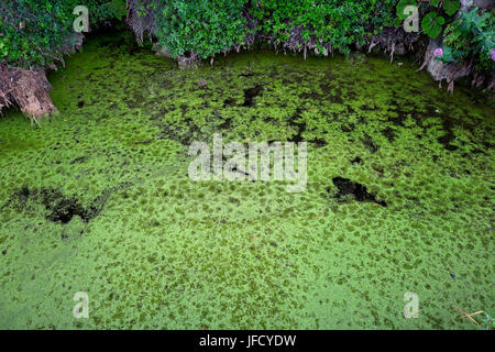 Wasser-Garten in der Nähe von Torre di San Niccolò, Florenz, Italien Stockfoto