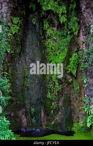 Wasser-Garten in der Nähe von Torre di San Niccolò, Florenz, Italien Stockfoto