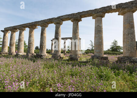 Palatin Tabellen, Italien Stockfoto