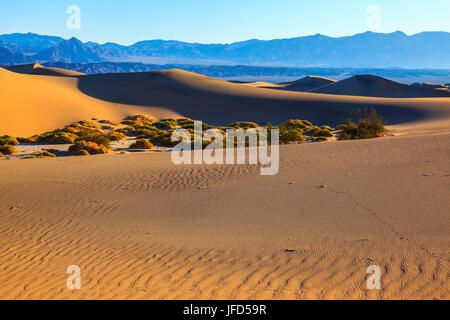 Die Dünen im Death Valley Stockfoto