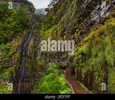 Risco levada auf Madeira Portugal Stockfoto