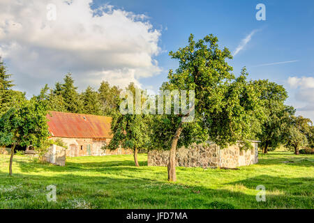 Alte Scheune auf dem Bauernhof Stockfoto